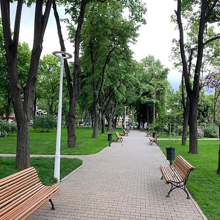 Floreasca Apartment Bach Bukares Bagian luar foto